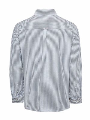 Imagen 2 del producto Camisa Algodón Orgánico Hombre Raya Azul