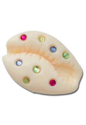 Imagen 1 del producto Jibbitz Crocs Concha De Mar Con Gemas Multicolor