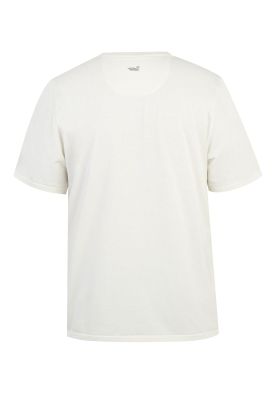 Imagen 2 del producto Polera Fibras Recicladas Hombre Places Blanco