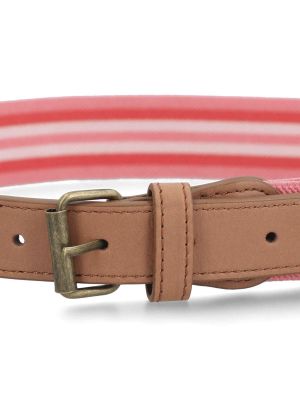 Imagen 2 del producto Cinturón Niña Hpk Felicity Rosado