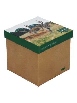 Imagen 1 del producto Calcetín Bambú Mujer Pack Gift Bam Multicolor