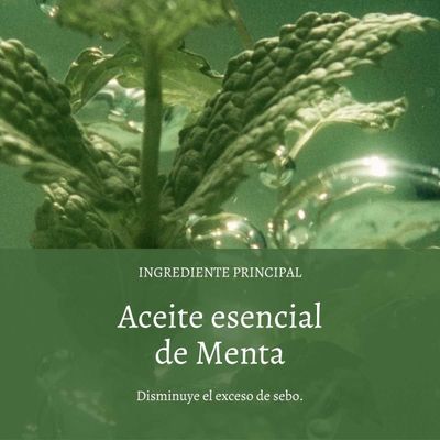 Imagen 2 del producto Shampoo Frescura y Pureza Aromacología 500 ml L'Occitane