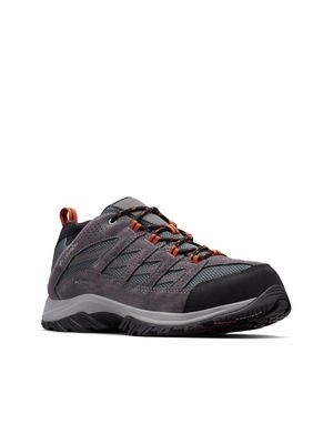 Zapatilla Hombre Crestwood Waterproof Gris