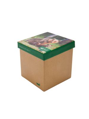 Calcetin Bambú Hombre Pack Gift Bea Multicolor