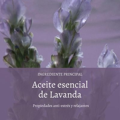 Imagen 2 del producto Leche de Cuerpo Lavanda Blanca 250 ml LOccitane