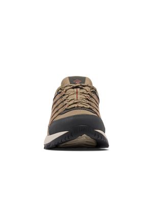 Imagen 2 del producto Zapatilla Hombre Strata Trail Low Wtpf Café