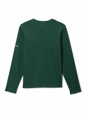 Imagen 2 del producto Polera ML Niño Dobson Pass Graphic Verde