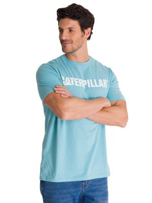 Imagen 2 del producto Polera Manga Corta Hombre Logoerpillar Celeste