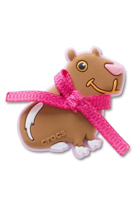 Jibbitz Capybara Coquette Café