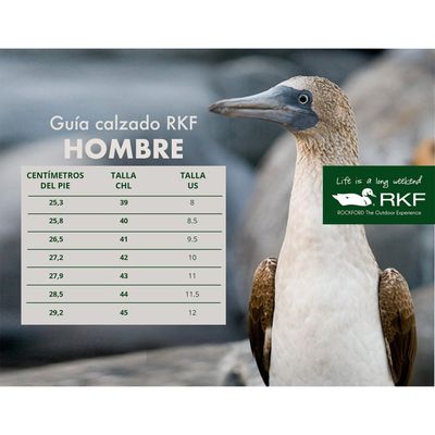 Imagen 2 del producto Zapatilla Hombre Rivera Café Claro