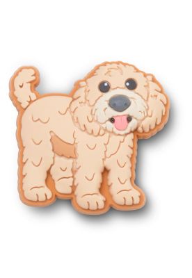 Jibbitz Crocs Perro Golden Doodle Café