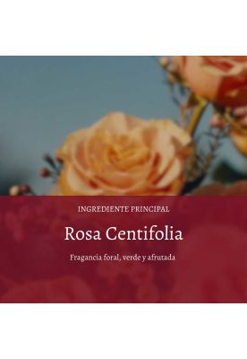 Imagen 2 del producto Jabón Sólido Rosas y Jardines 50 g L'Occitane