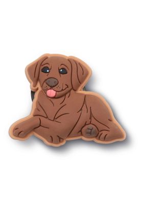 Jibbitz Perro Doberman Café