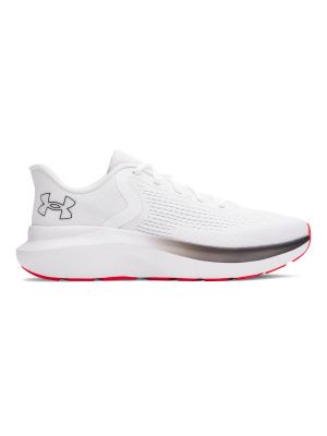 Zapatilla Running Hombre Rogue 5 Blanco