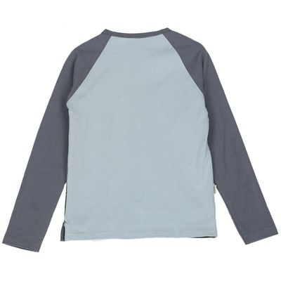 Imagen 2 del producto Polera Niño Diving Gris