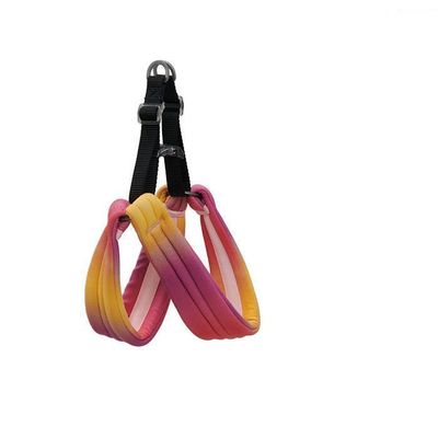 Imagen 2 del producto ARNÉS PARA MASCOTAS PIDAN®PET - MEDIANO