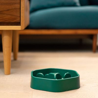 Imagen 2 del producto Pidan-ALIMENTADOR LENTO (LABERINTO FORESTAL)