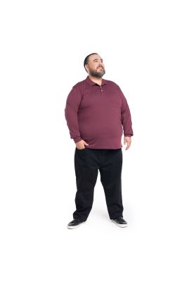 Imagen 2 del producto Polera Manga Larga Jersey Cuello Polo Hombre