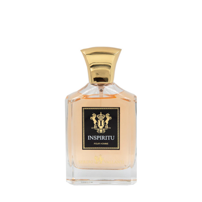 Imagen 2 del producto Perfume Inspiritu Pour Homme EDP 100ml