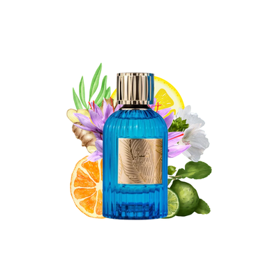 Imagen 2 del producto Qissa Blue Paris Corner Edp 100Ml Hombre