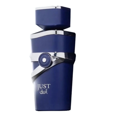 Imagen 2 del producto Perfume Just Fragarnce World Edp 100Ml Unisex (Azul)