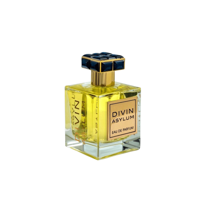 Imagen 2 del producto Perfume Divin Asylum Fragarnce World Edp 100Ml Unisex