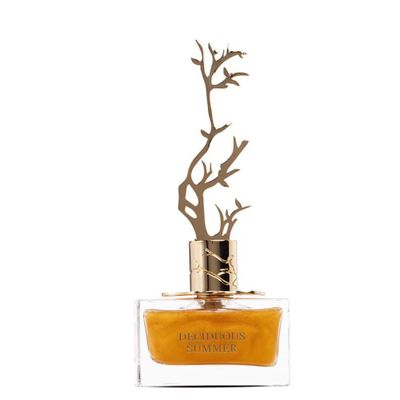 Imagen 2 del producto Estuche de Perfume Summer Deciduous Aurora Scents Edp 100ml +9ml Mujer