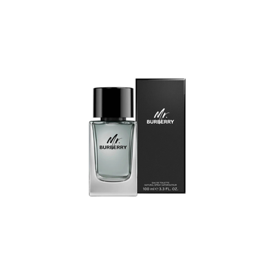 Imagen 2 del producto Perfume Mr Burberry Edt 100ML Hombre