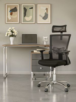 Imagen 2 del producto Silla de Oficina Presidente Ergonomus Delphi Base Cromada