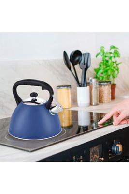 Imagen 2 del producto Tetera Acero Inoxidable 3 Litros Azul