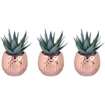 Set de Suculentas Decorativas Porcelana Cobre 3 Piezas