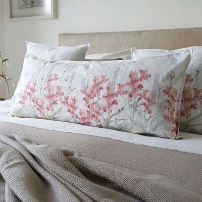 Imagen 2 del producto COJÍN ALGODÓN ASTROMELIAS XL