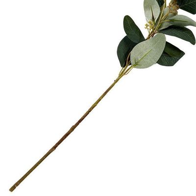 Imagen 2 del producto Rama Decorativa de Eucalipto Verde 72 Cms.