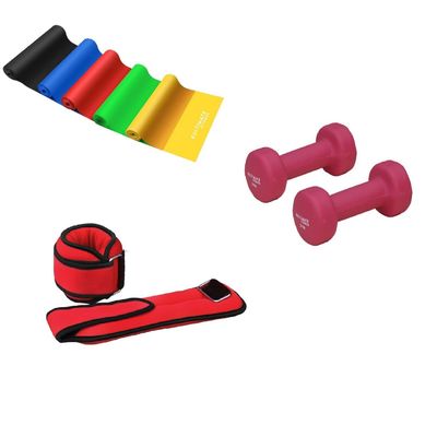 5 Bandas Resistencia+Mancuernas 2kg+PesasTM0.5 kg