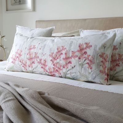 Imagen 2 del producto FUNDA COJÍN ALGODÓN ASTROMELIAS XL