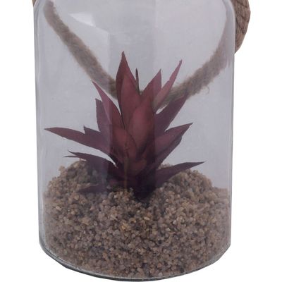 Imagen 2 del producto Planta Decorativa Fanal Suculenta Roja con Soga