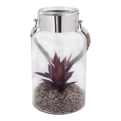 Planta Decorativa Fanal Suculenta Roja con Soga