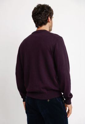 Imagen 2 del producto Tejido Hombre Parrot Morado