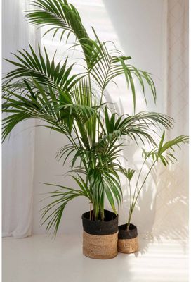 Imagen 2 del producto Canasto Ural Negro L