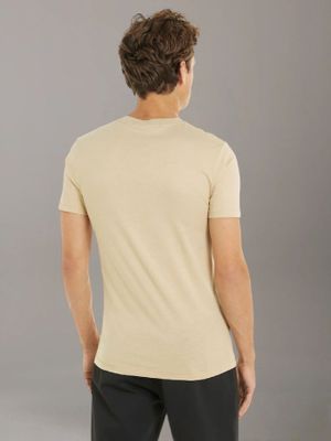 Imagen 2 del producto Polera Seasonal Monologo RAE Beige Calvin Klein