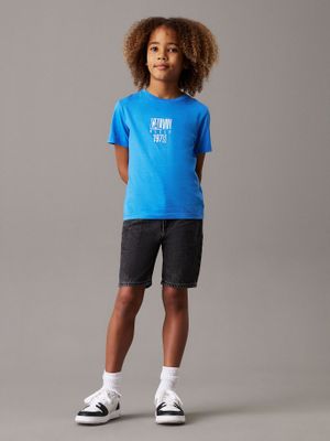 Imagen 2 del producto Polera Niño Good Level Regular Azul Calvin Klein