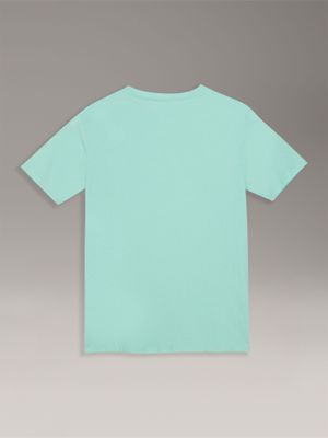 Imagen 2 del producto Polera Niño Con Bolsillo Para Niño Verde Calvin Klein