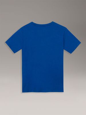 Imagen 2 del producto Polera Niño Vertically Azul Calvin Klein