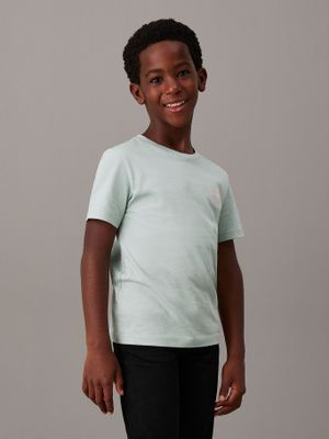 Polera Niño Ches Monologo Verde Calvin Klein