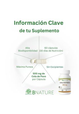 Imagen 2 del producto Cola de Pavo 500mg | 60 Cápsulas – Hongo Coriolus B NATURE