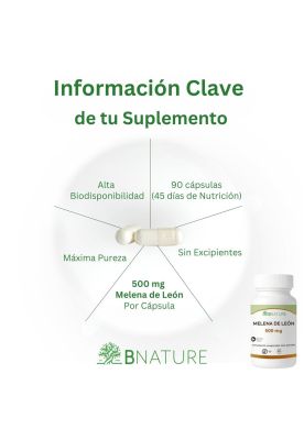 Imagen 2 del producto Melena de Leon 500mg | Suplemento Fungi 90 caps B NATURE