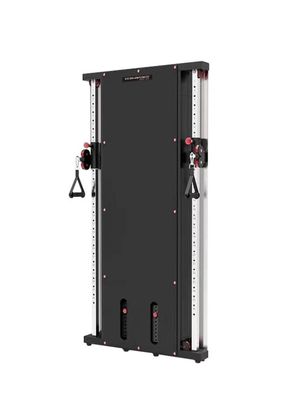 Wall Mounted Multi Functional Trainer