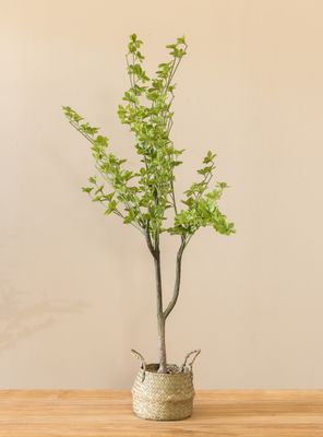 Imagen 2 del producto Planta Artificial Camelia