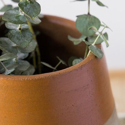 Imagen 2 del producto Macetero Calca Cemento