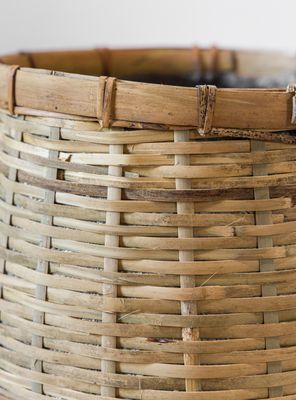 Imagen 2 del producto Macetero Tacari L